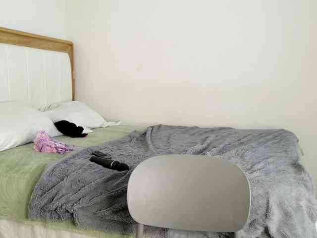 jump-rabbit- webcam