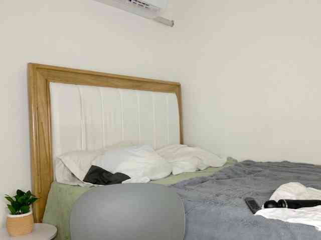 jump-rabbit- webcam
