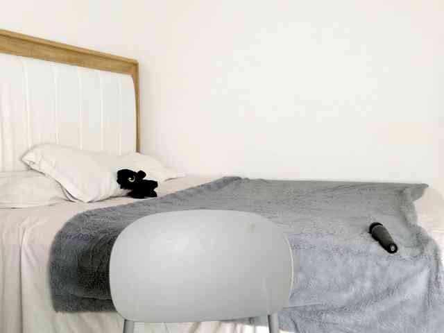 jump-rabbit- webcam