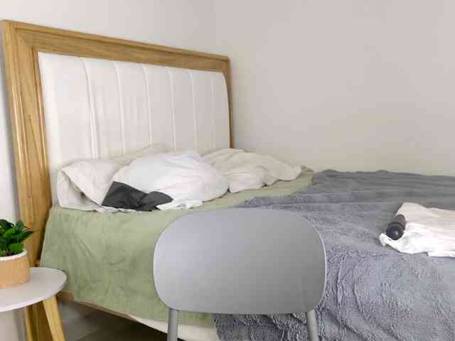 jump-rabbit- webcam