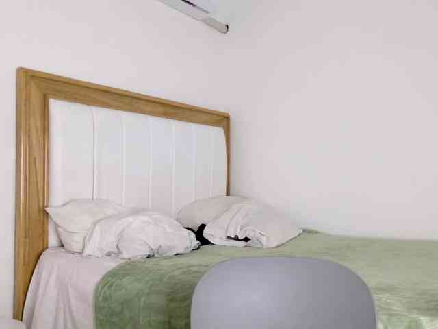 jump-rabbit- webcam