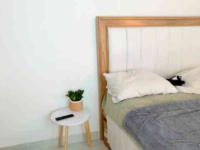jump-rabbit- webcam