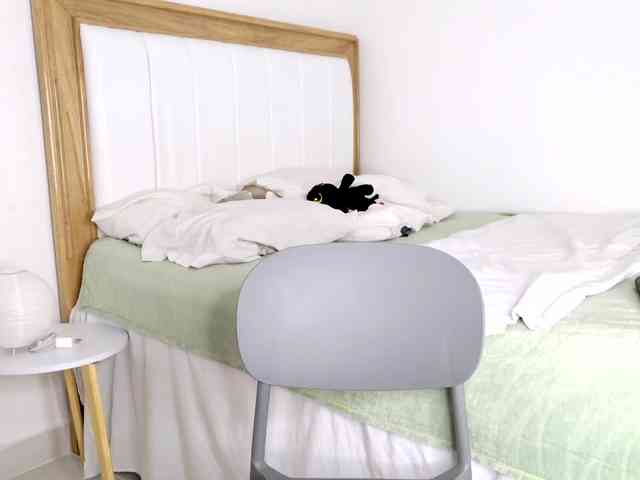 jump-rabbit- webcam