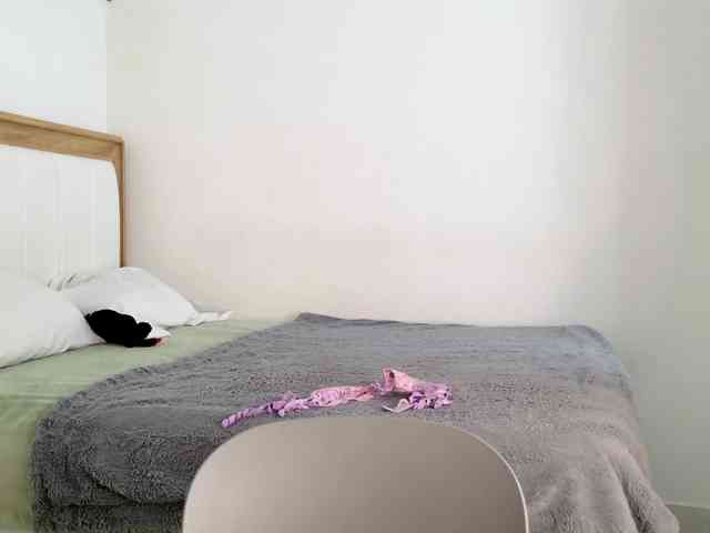 jump-rabbit- webcam
