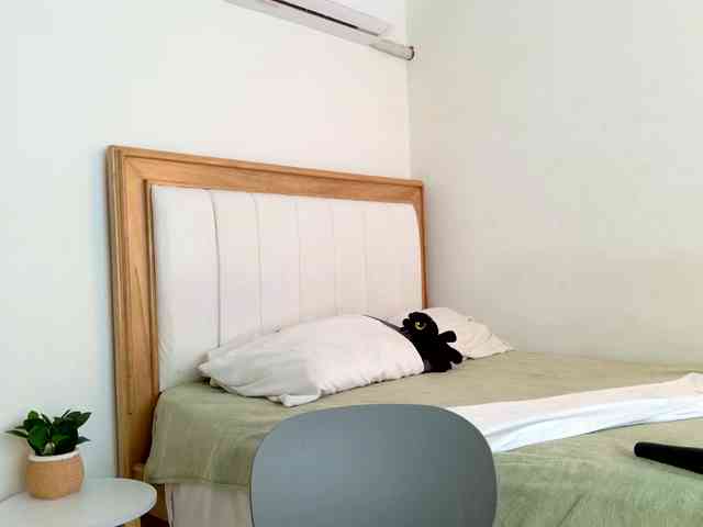 jump-rabbit- webcam