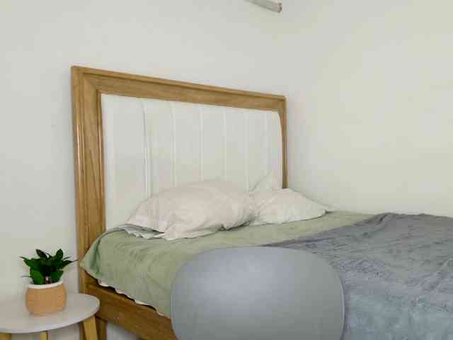 jump-rabbit- webcam