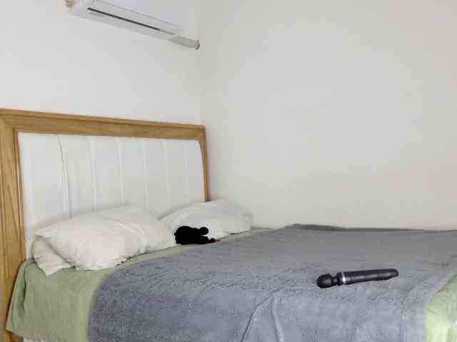 jump-rabbit- webcam