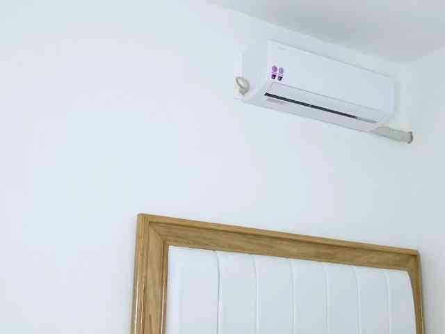 jump-rabbit- webcam