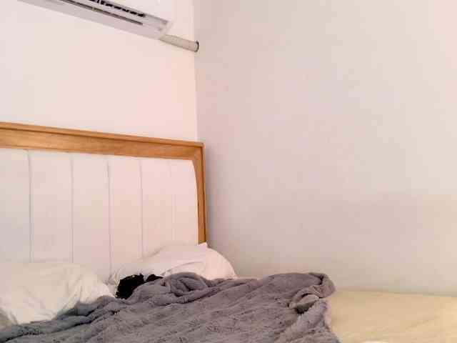 jump-rabbit- webcam