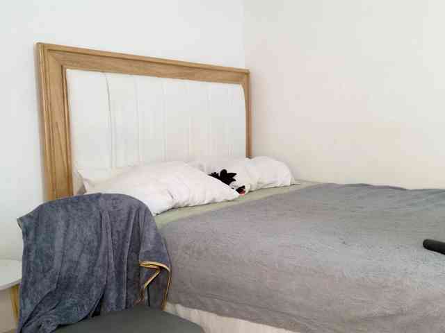 jump-rabbit- webcam