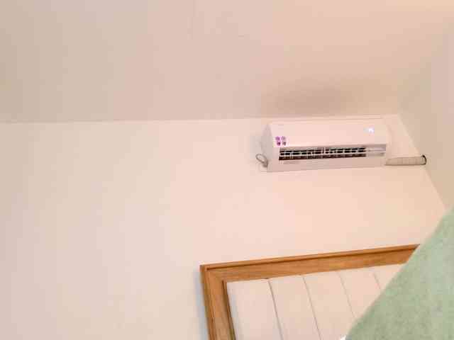 jump-rabbit- webcam