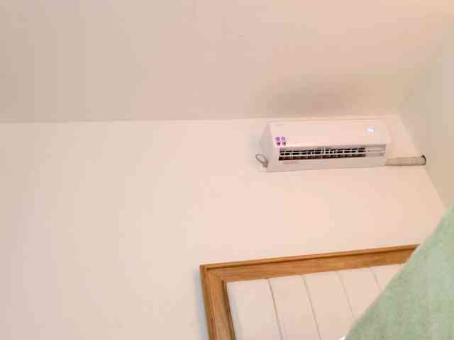 jump-rabbit- webcam