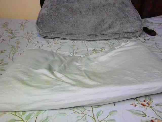 Sexysuzzy12 webcam