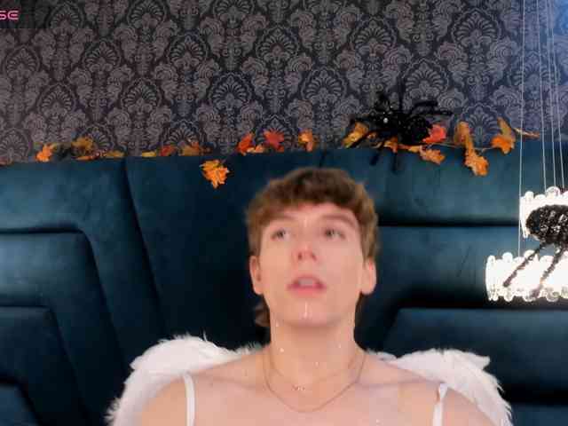 TaylerWhite TaylerWhite