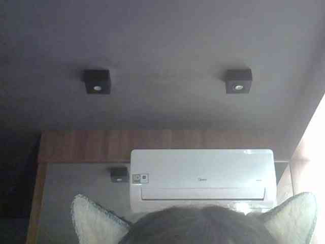 SkinnyKitty Live Webcam on BongaCams