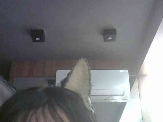 SkinnyKitty's Sexcam