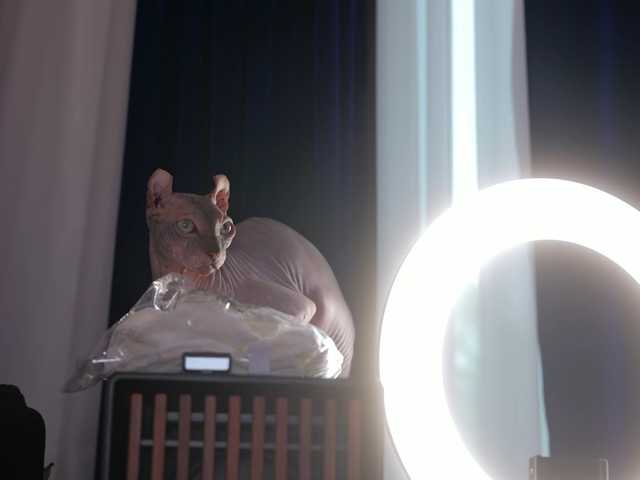 Vesia live cam on BongaCams