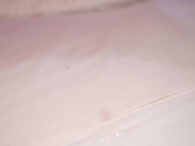 Vesia's BongaCams show and profile