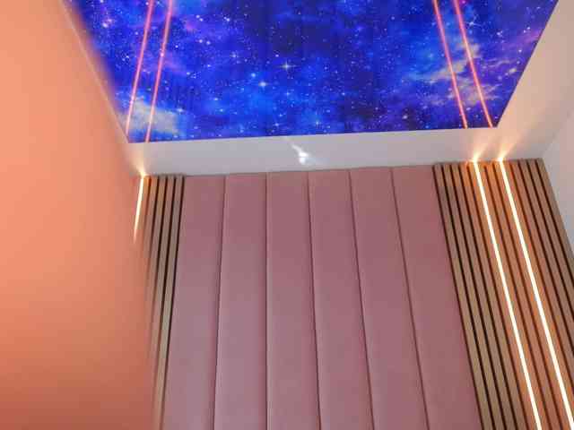 Vesia webcam