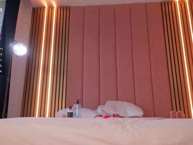 Vesia webcam