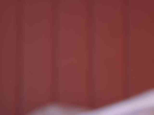 Vesia webcam