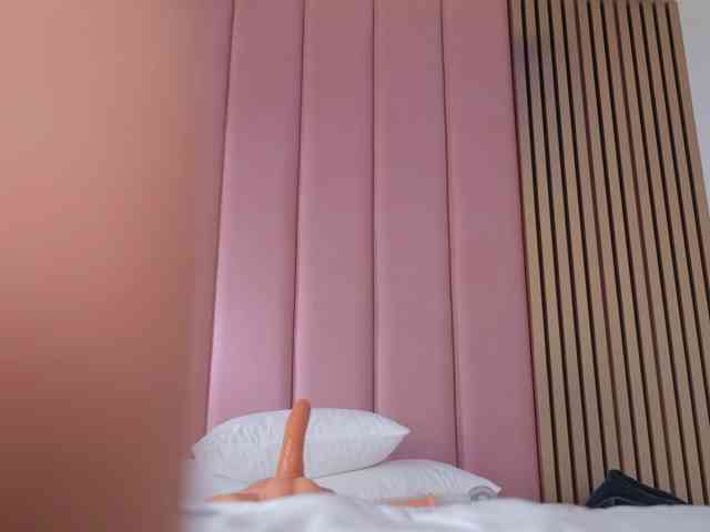 Vesia webcam