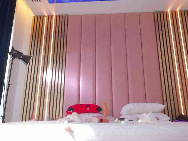 Vesia webcam