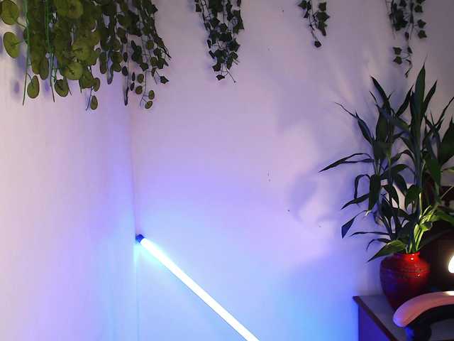 Ariana-Sunset live cam on BongaCams