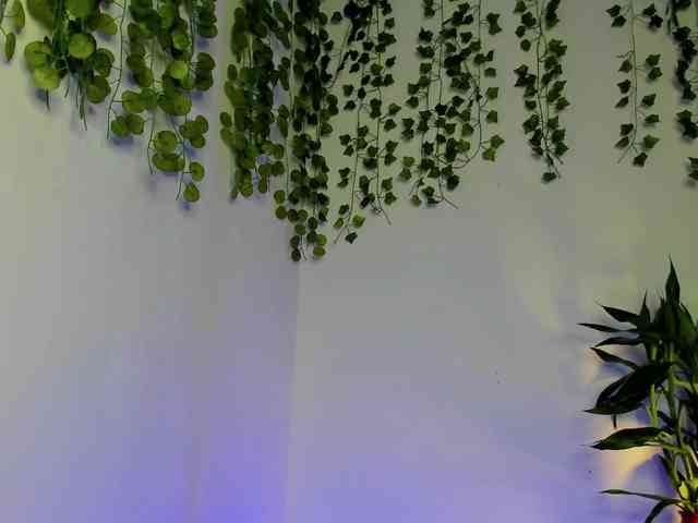 Ariana-Sunset webcam