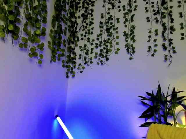 Ariana-Sunset webcam