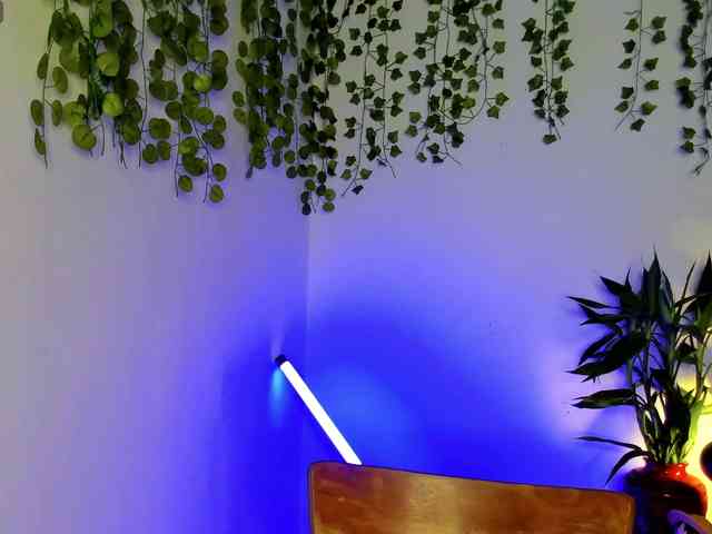 Ariana-Sunset webcam