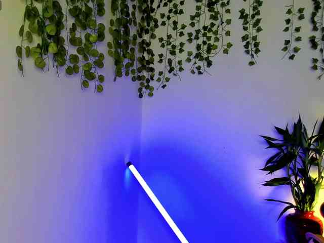 Ariana-Sunset webcam