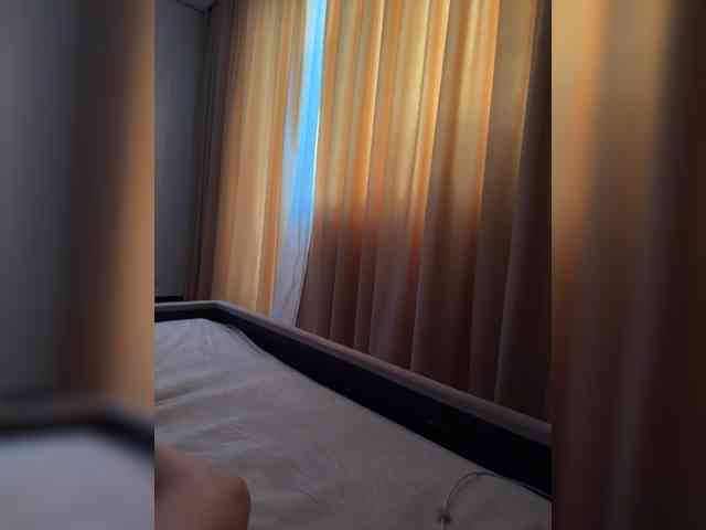 Модель: razSEKSovka