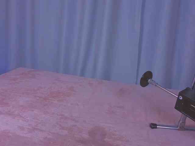 Trinity-Bunny webcam