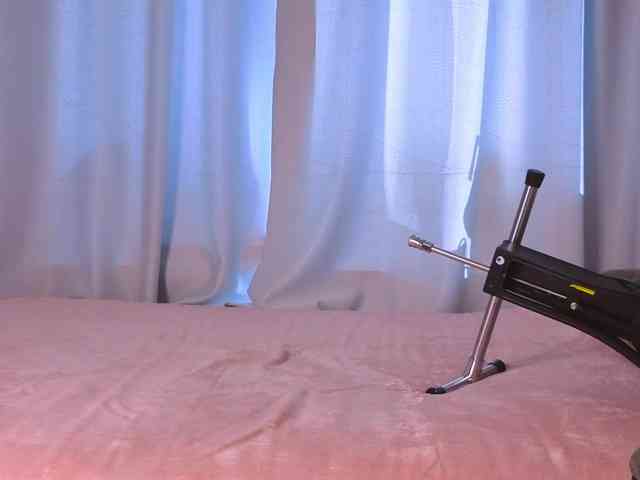 Trinity-Bunny webcam
