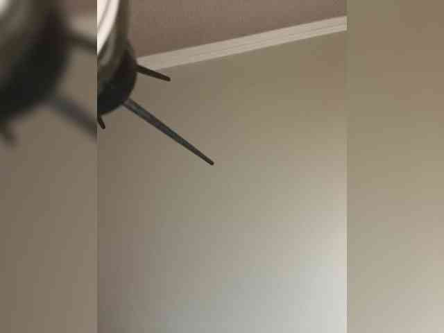 SweetSlice webcam