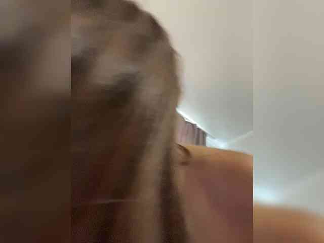 SweetSlice webcam