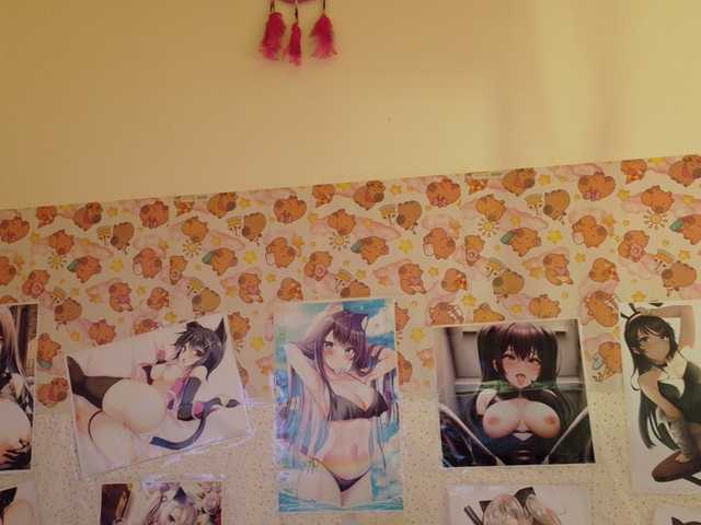 AlizeHentaiMeow live cam on BongaCams