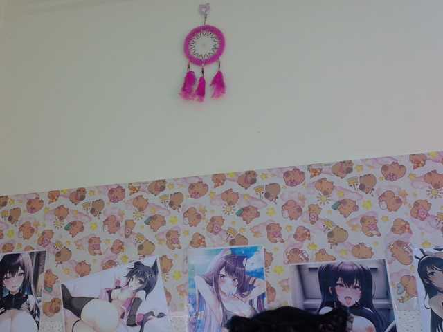 AlizeHentaiMeow live webcam show