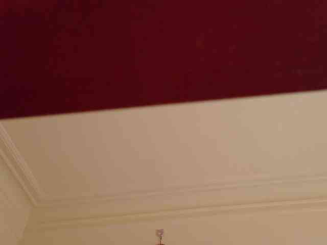 AlizeHentaiMeow webcam