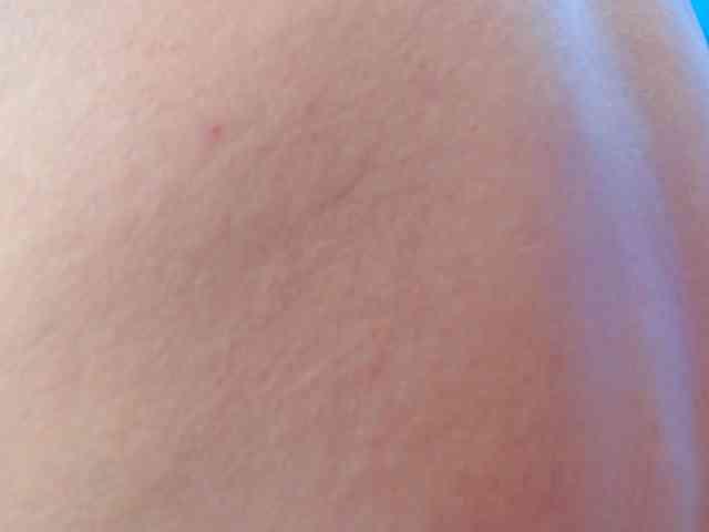 tommyxpamela444 webcam