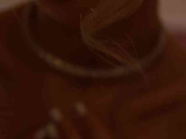 ChocoPie webcam