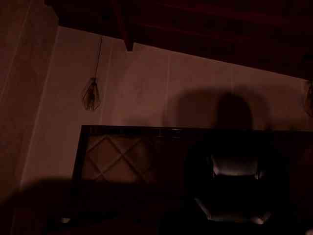AgathaKondo1 webcam