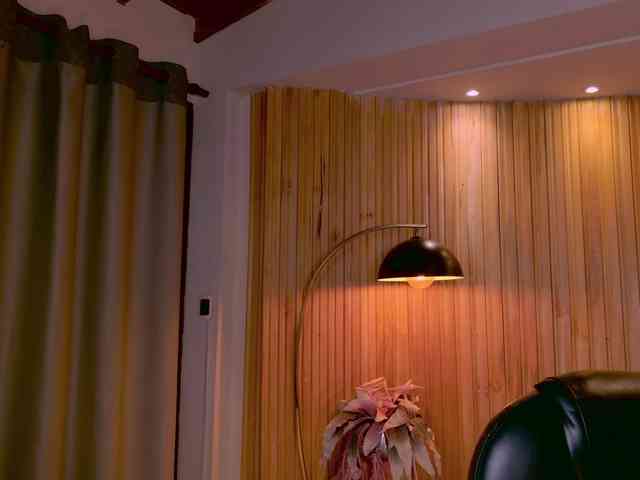 AgathaKondo1 webcam