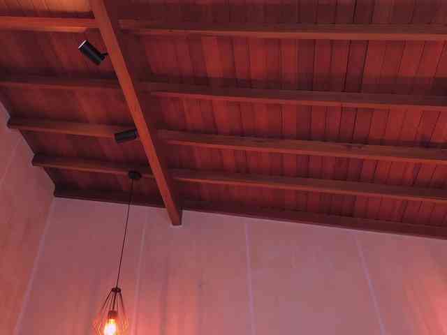 AgathaKondo1 webcam