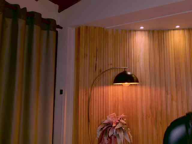 AgathaKondo1 webcam