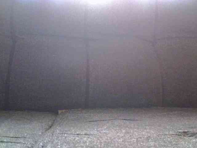 Lovepapigal webcam