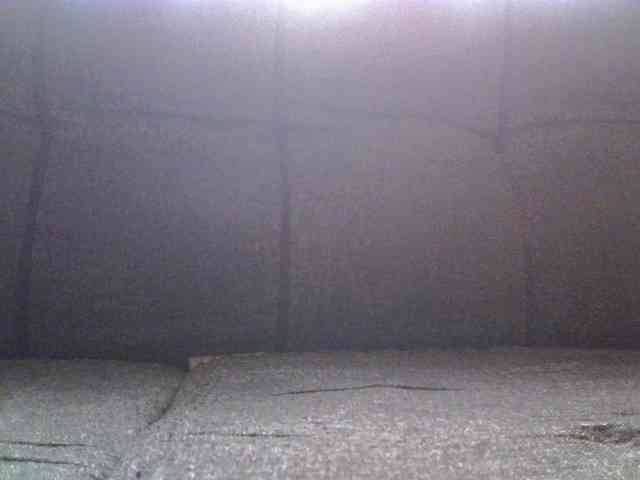 Lovepapigal webcam