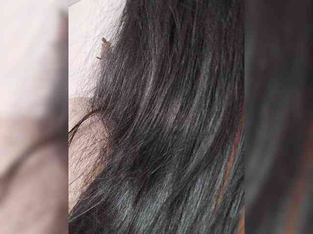 Model: SilverCrystal