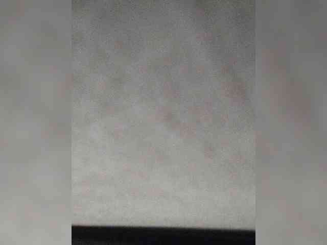 SilverCrystal webcam